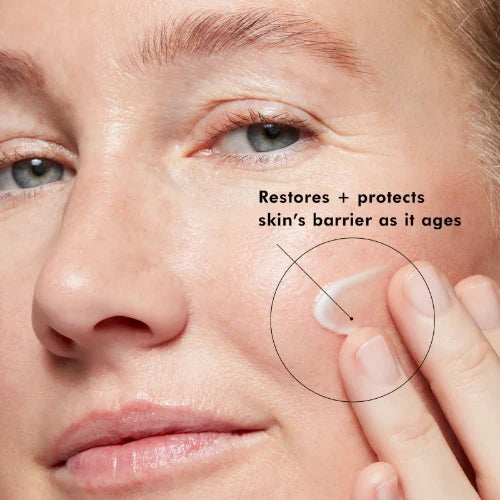 SkinCeuticals Triple Lipid Restore 2:4:2 Face Cream 48ml / 1.6 oz